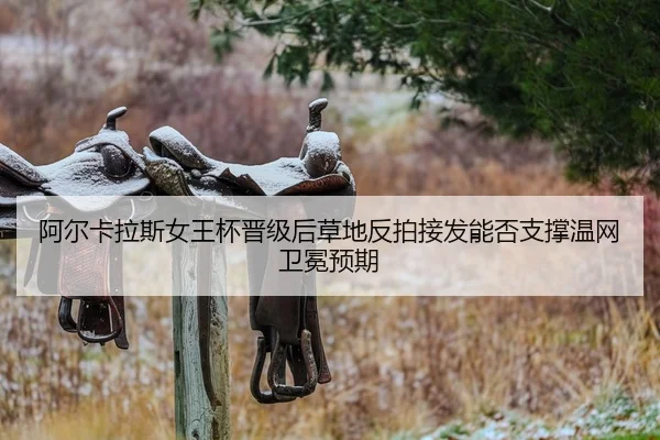 a-er-ka-la-si-nv-wang-bei-jin-ji-hou-cao-di-fan-pai-jie-fa-neng-fou-zhi-cheng-wen-wang-wei-mian-yu-qi-2-228.jpg