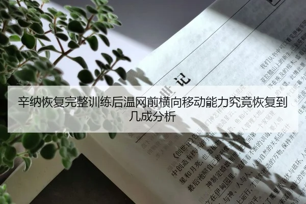 xin-na-hui-fu-wan-zheng-xun-lian-hou-wen-wang-qian-heng-xiang-yi-dong-neng-li-jiu-jing-hui-fu-dao-ji-cheng-fen-xi-2-744.jpg