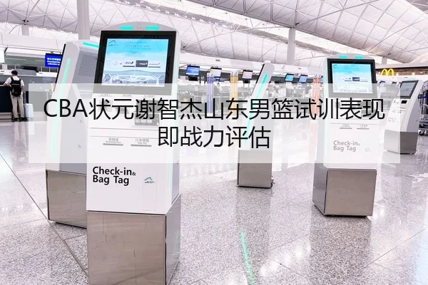 CBA状元谢智杰山东男篮试训表现即战力评估